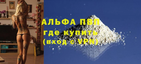 эйфоретик Гусев