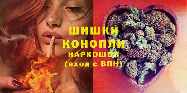 эйфоретик Гусев