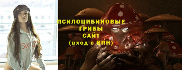 эйфоретик Гусев
