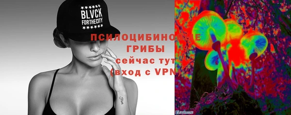 кокс Дмитров