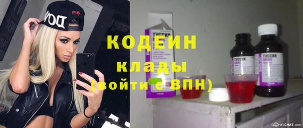 индика Гусиноозёрск