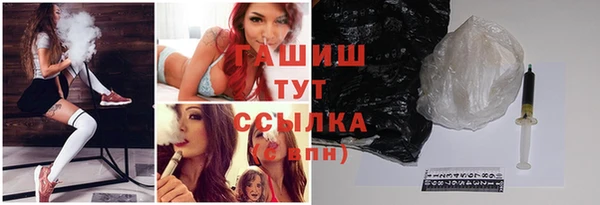 индика Гусиноозёрск