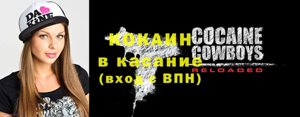 индика Гусиноозёрск