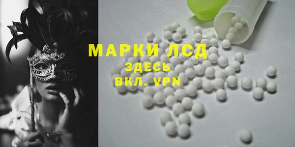индика Гусиноозёрск