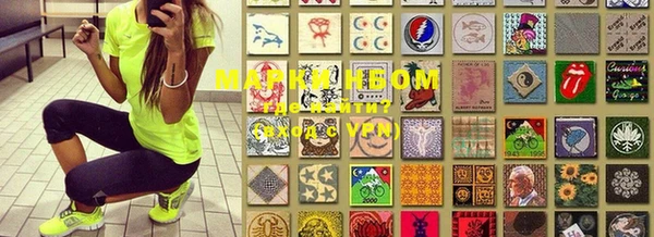 индика Гусиноозёрск