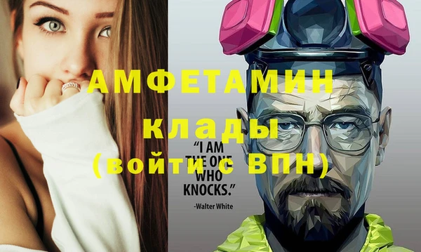 индика Гусиноозёрск