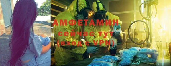 индика Гусиноозёрск