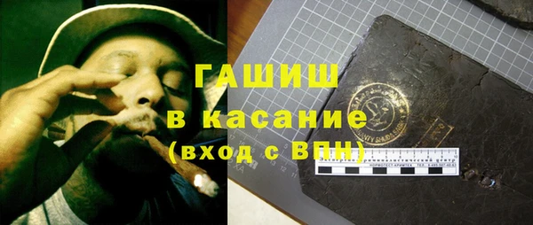 индика Гусиноозёрск