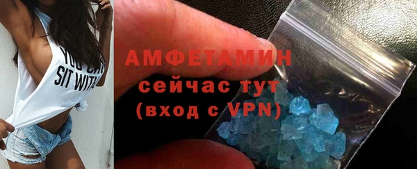 индика Гусиноозёрск