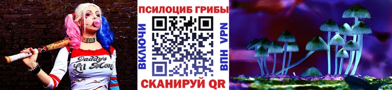 Купить где  Кондопога  Галлюциногенные грибы ЛСД 