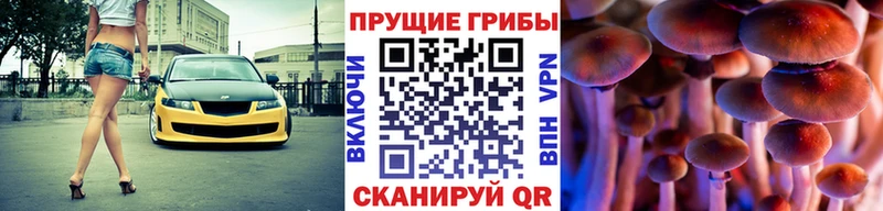 Псилоцибиновые грибы прущие грибы Кондопога