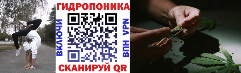 Шишки марихуана ГИДРОПОН  Купить где  Кондопога 